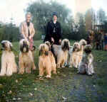 uicl-rennen-hh-trittan.jpg (36940 Byte)