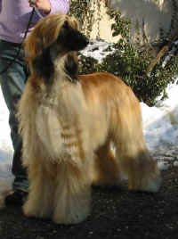 Winter 06 1.JPG (59311 Byte)