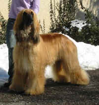 Winter 06 6.JPG (55826 Byte)