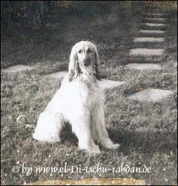 la Jana 6 jahre alt