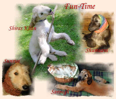 fun-time.jpg (130299 Byte)