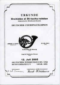CCHOrchidee.jpg (92565 Byte)