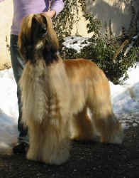 Winter 06 2.JPG (43972 Byte)