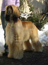 Winter 06 3.JPG (41634 Byte)