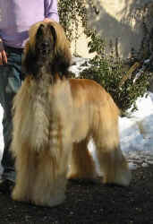 Winter 06 5.JPG (39198 Byte)