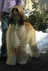 Winter 06 S.JPG (35958 Byte)