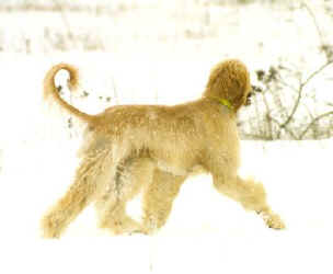 Raijssah Winter 3.JPG (13259 Byte)