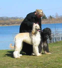 Munchen 1.JPG (15674 Byte)