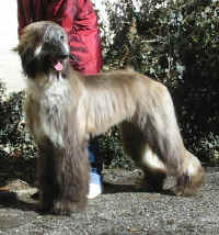 Shumaani Mrz 06.JPG (59807 Byte)