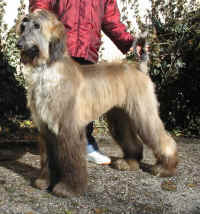 Shumi Mrz 06 5.JPG (120976 Byte)