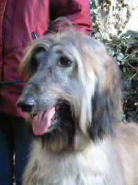 Shumi Mrz  06 K-S2.JPG (43691 Byte)