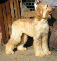 Sunny Mrz 06 7.JPG (46537 Byte)