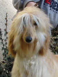 Sunny Mrz 06 K6.JPG (18498 Byte)