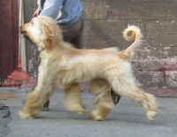 Sunny Mrz 06 Lauf 2.JPG (16471 Byte)