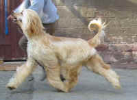 Sunny Mrz 06 Lauf 3.JPG (20365 Byte)