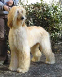 Sunny Mrz 06 S3.JPG (52271 Byte)