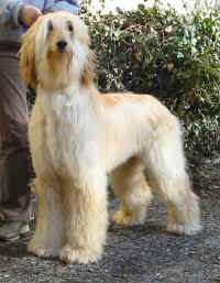 Sunny Mrz 06 S4.JPG (54876 Byte)