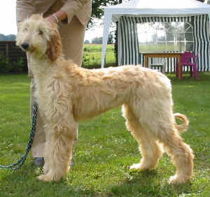 Sunrise Fbg 05 2.JPG (42715 Byte)