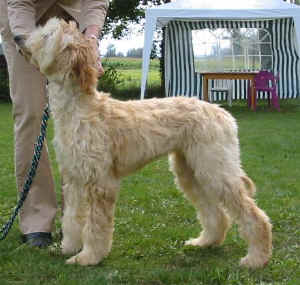 Sunrise Fbg 05 3.JPG (41998 Byte)