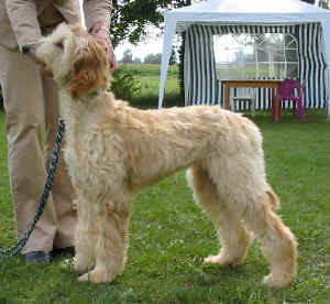 Sunrise Fbg 05 4.JPG (44378 Byte)