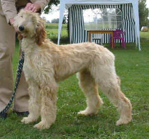 Sunrise Fbg 05 5.JPG (41567 Byte)