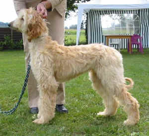 Sunrise Fbg 05.JPG (44328 Byte)