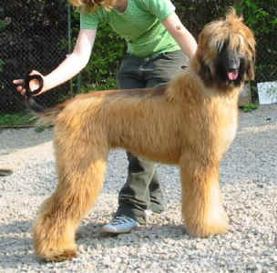 Thangka 04072 .jpg (42080 Byte)