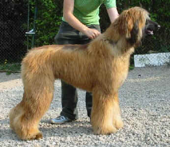 Thangka 04074.jpg (42012 Byte)