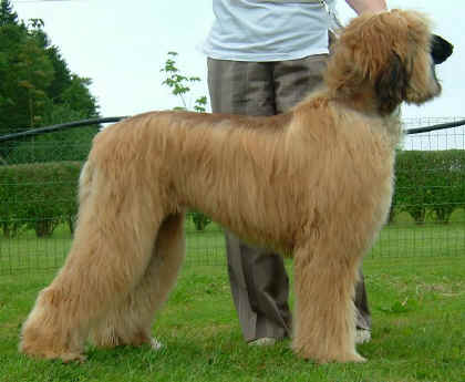 Bermatingen0508.jpg (73167 Byte)