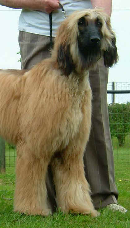 Bermatingen.jpg (47224 Byte)