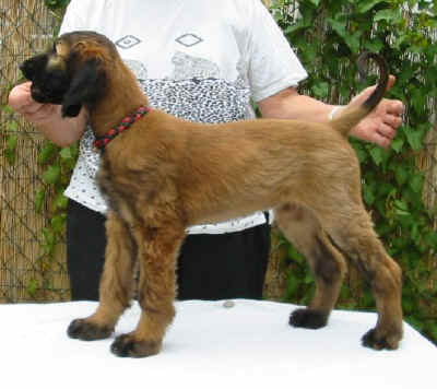 Ursa07 3.jpg (40861 Byte)