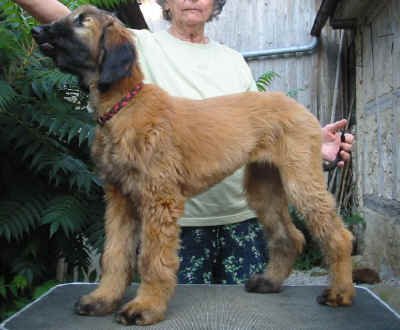 Aug072.jpg (74583 Byte)