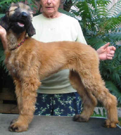 Aug07 6.jpg (39418 Byte)