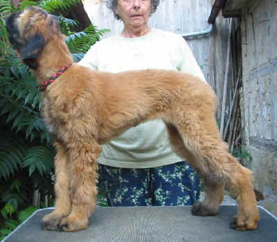 Aug07 7.jpg (80722 Byte)