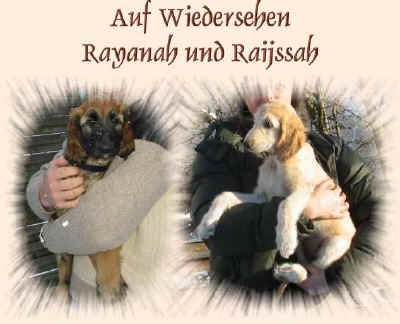 byby-alleine.JPG (31606 Byte)