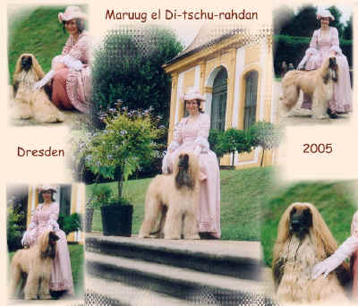 maruug-dresden.jpg (144224 Byte)