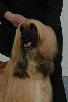 p-off-02.jpg (21816 Byte)