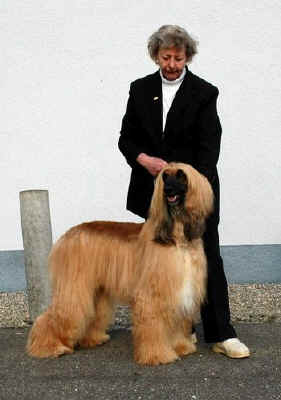 p-off-03.jpg (38224 Byte)