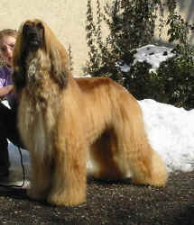 Winter 06 2.JPG (53517 Byte)