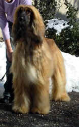 Winter 06 3.JPG (39134 Byte)