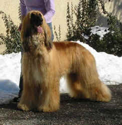 Winter 06 7.JPG (59955 Byte)