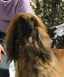 Winter 06 K.JPG (12474 Byte)