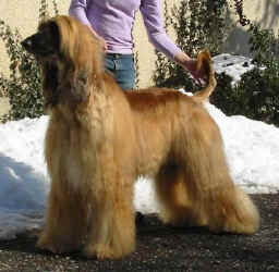 Winter 06 S.JPG (57955 Byte)