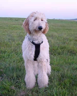 Shiras Sept05 2.JPG (29432 Byte)