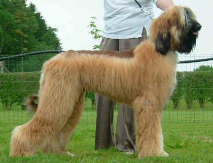 Bermatingen2.jpg (54249 Byte)