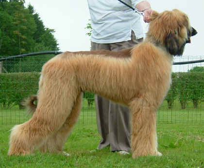 Bermatingen3.jpg (59400 Byte)