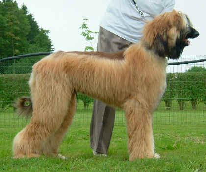 Bermatingen.jpg (64113 Byte)