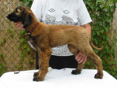 Ursus07 2.jpg (42861 Byte)