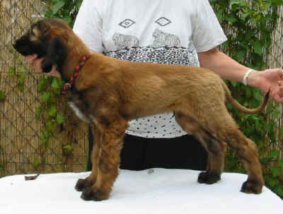 Ursus07 3.jpg (41941 Byte)