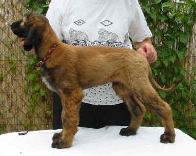 Ursus07.jpg (49517 Byte)